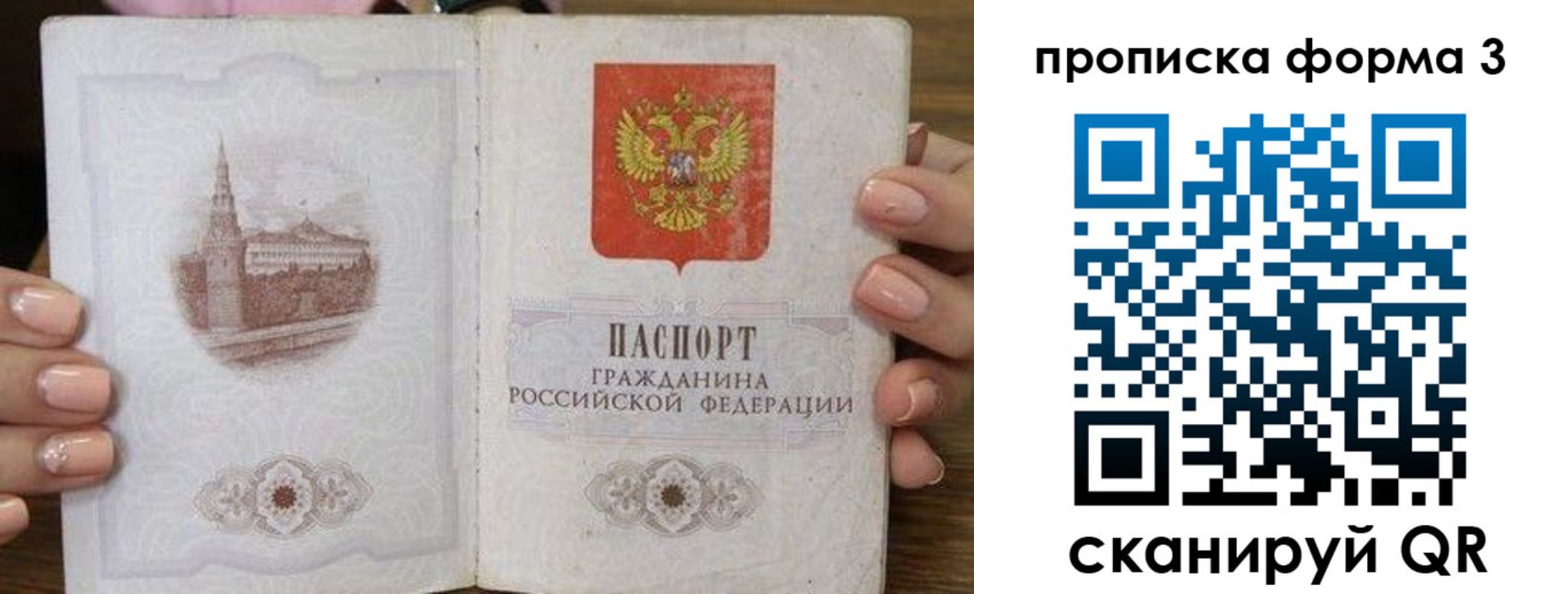 прописка поиск в Клинцах